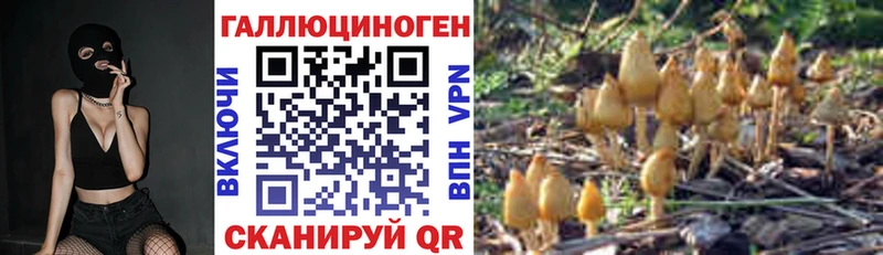 Галлюциногенные грибы GOLDEN TEACHER  наркотики  Раменское 